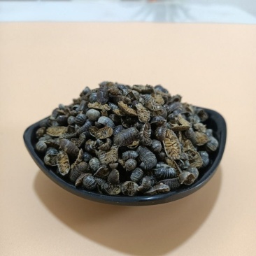 中药材]鼠妇虫中药材鼠妇虫野生鼠妇虫地虱湿虫潮虫