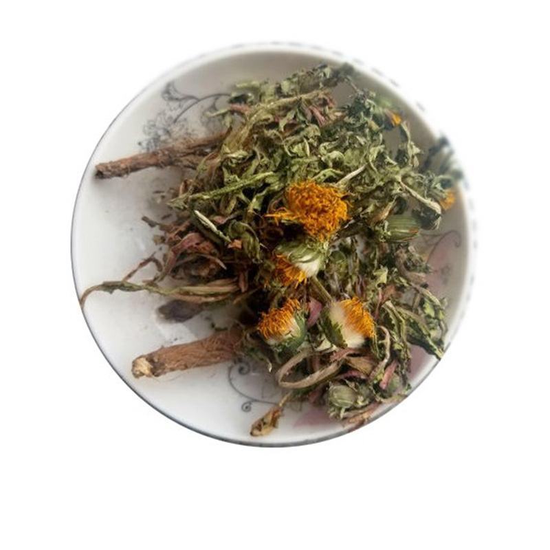 （新货）蒲公英种子质量好的一代杂交产量高根茎叶都可以食用