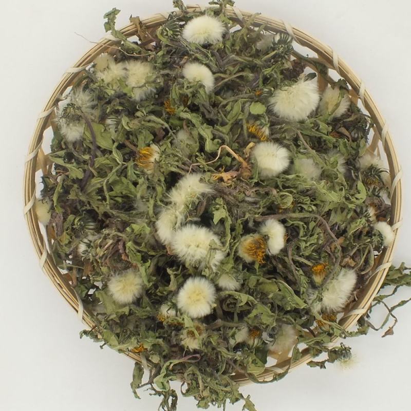 （新货）蒲公英种子质量好的一代杂交产量高根茎叶都可以食用