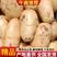 【汉中土豆】早大白土豆3两以上全国发货:日供货六十吨