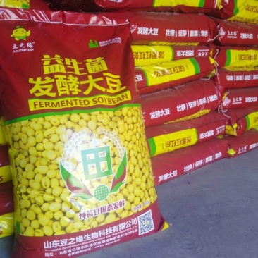 发酵大豆深度发酵富含芳香风味物质，提高品质与产量!