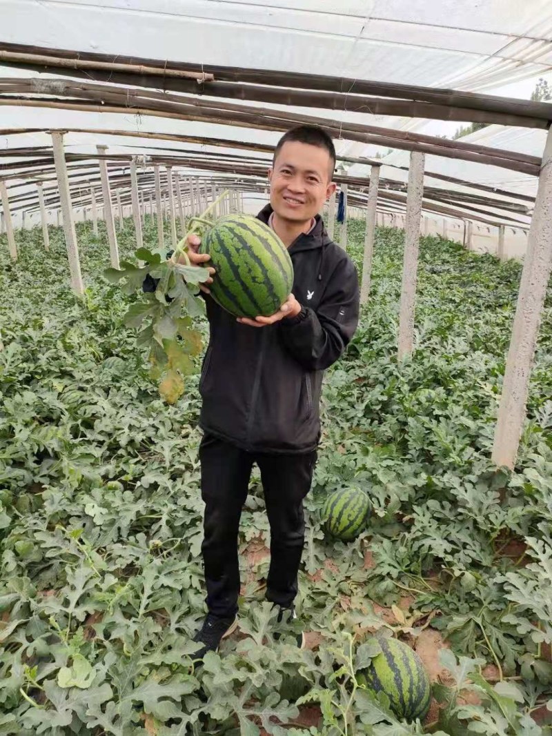 西瓜