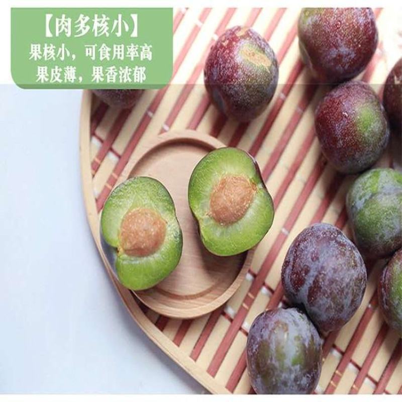 李子，凤凰李2021现摘鲜果需要的老板可视频看货精品好货