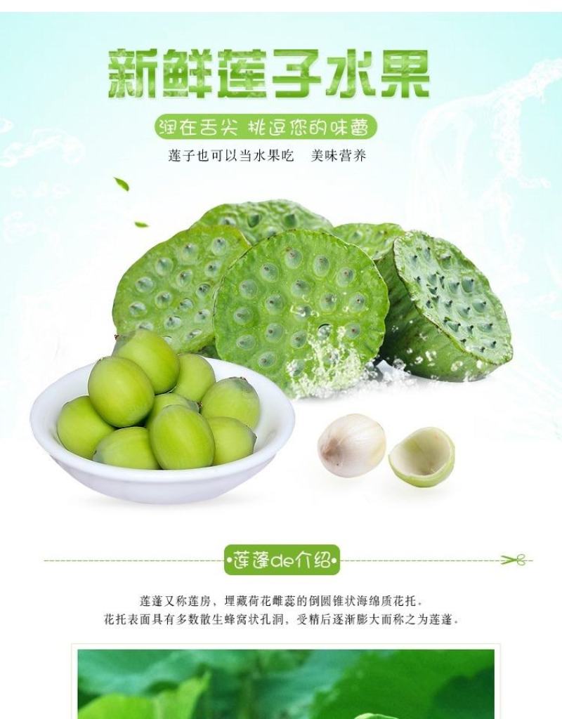 江西莲子新鲜莲蓬生吃现摘现发野生当季时令水果甜嫩