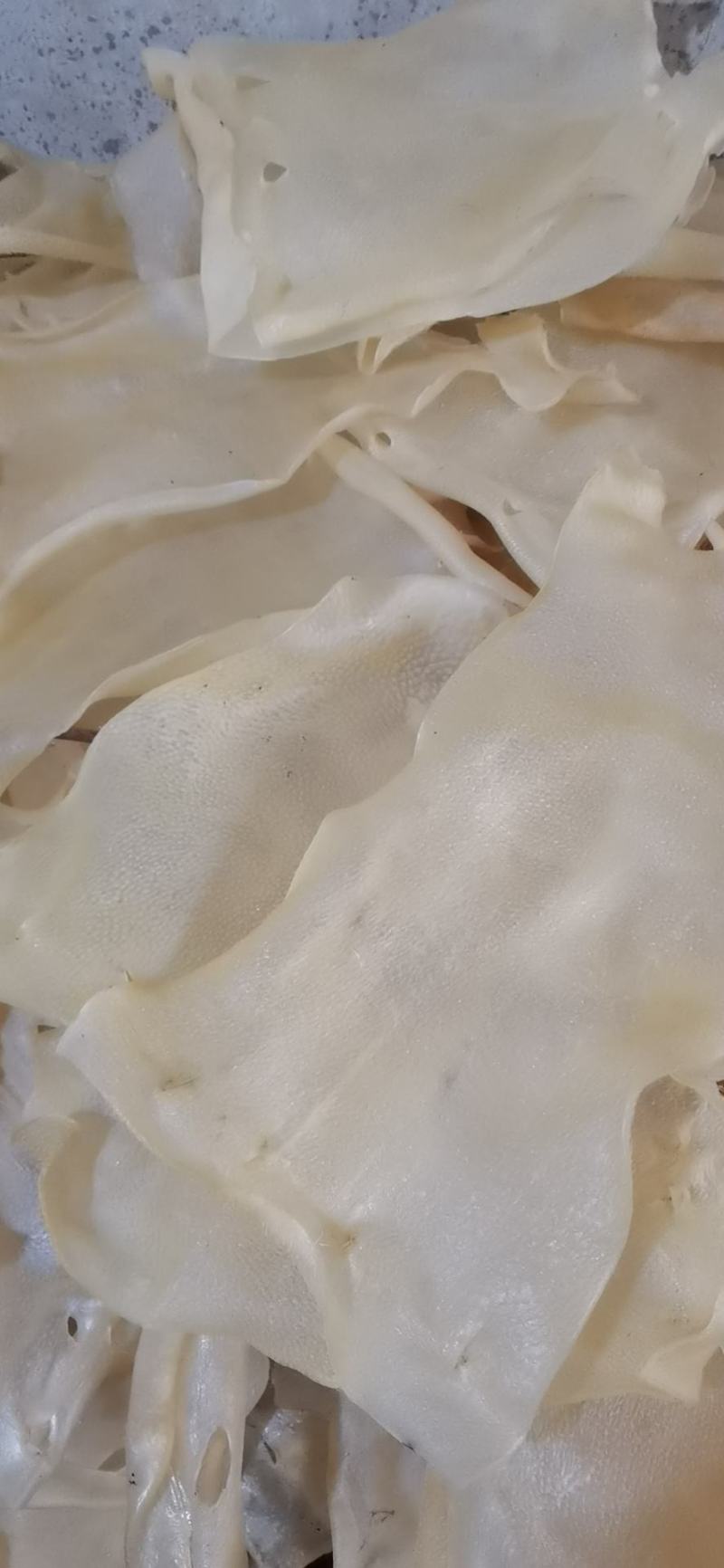 干猪皮，母猪大皮，条皮全烘干猪皮