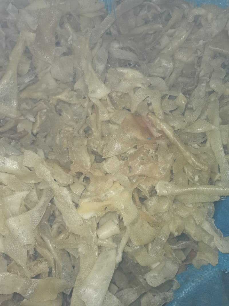 干猪皮，母猪大皮，条皮全烘干猪皮