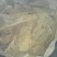 干猪皮，母猪大皮，条皮全烘干猪皮