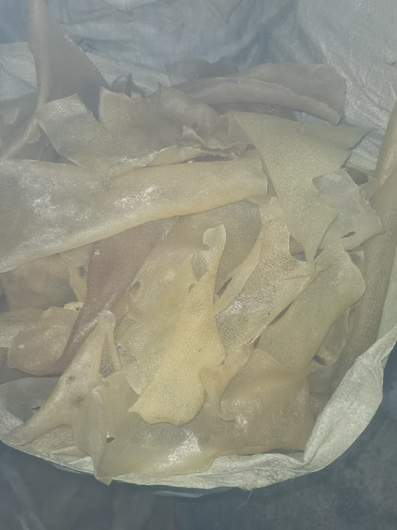 干猪皮，母猪大皮，条皮全烘干猪皮