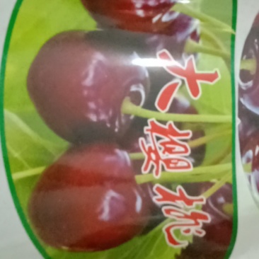 樱桃