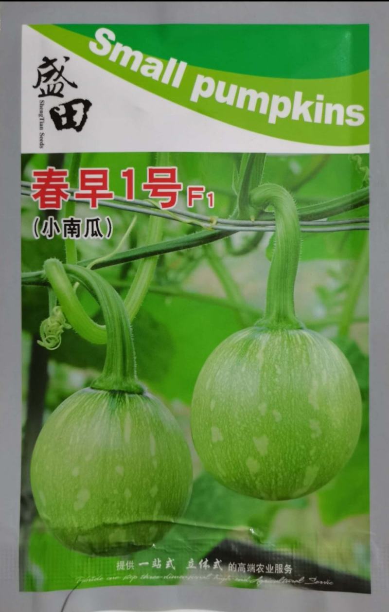 早熟小南瓜种子嫩南瓜种子一串铃南瓜种子节节有瓜