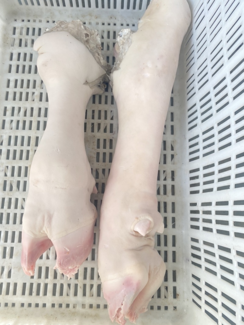 国产纯水退新鲜牛蹄