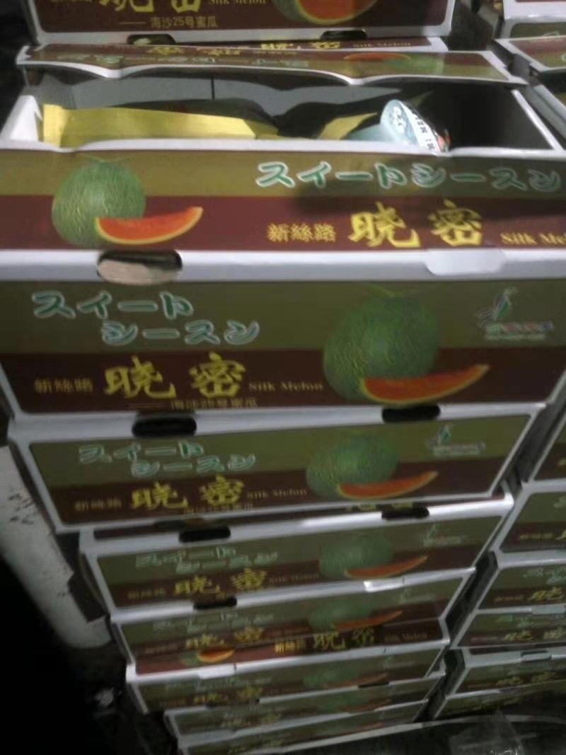 精品晓蜜25哈密瓜，产地直供，大量上市，专业代办，