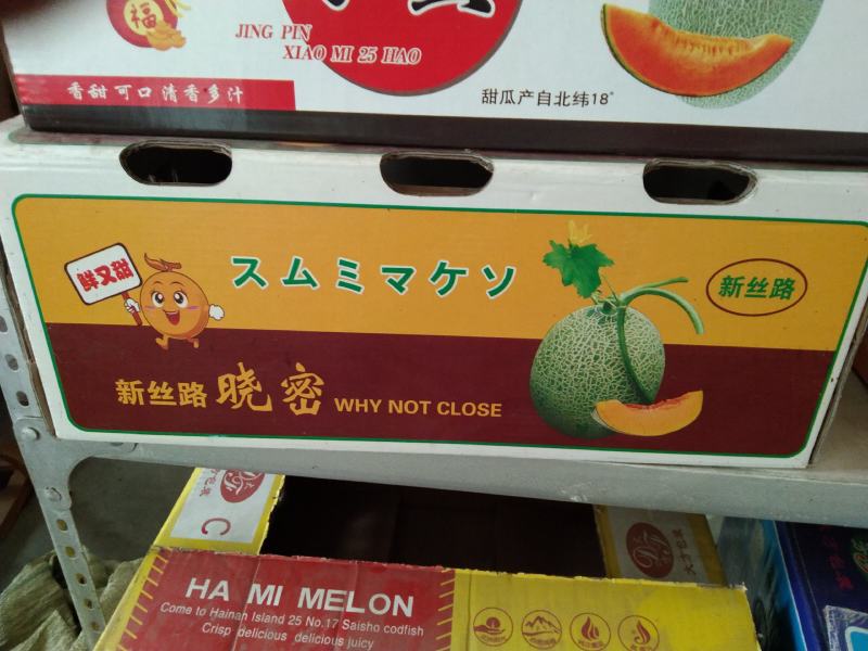 精品晓蜜25哈密瓜，产地直供，大量上市，专业代办，
