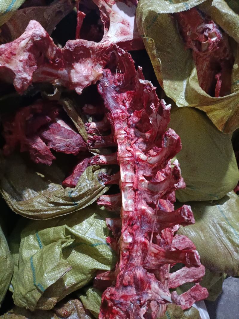 内蒙古锡林郭勒草地牛龙骨，肉大新鲜。可切段骨头。