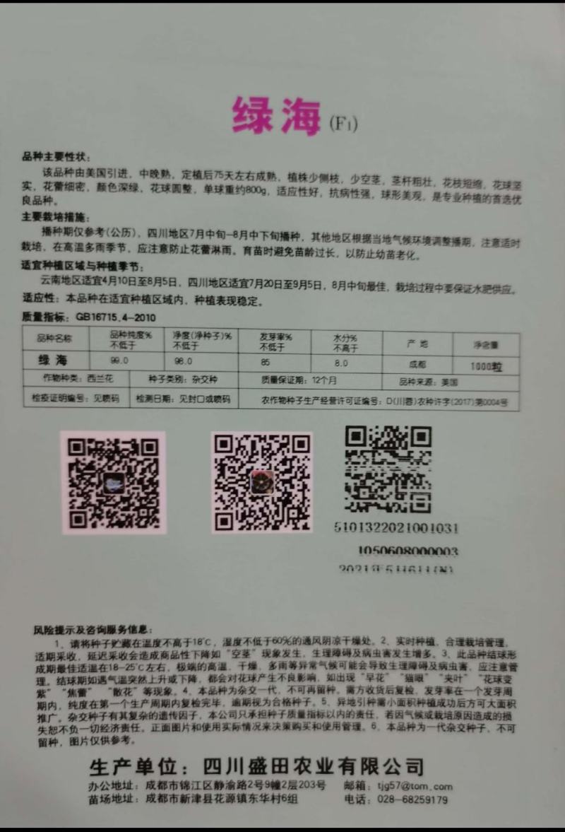 耐热西兰花种子早熟青花菜种子75天成熟花球不易发黄