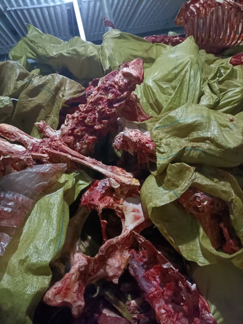 内蒙古锡林郭勒草地牛龙骨，肉大新鲜。可切段骨头。