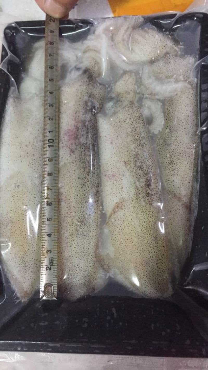 鱿鱼北部湾一口管团购，电商平台鱿鱼家庭装