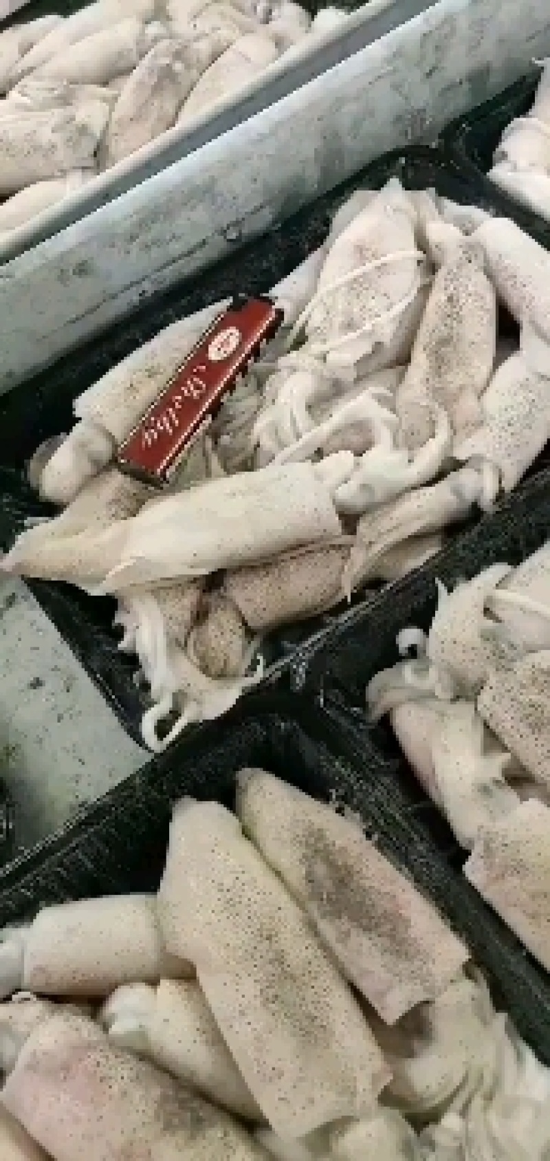 鱿鱼北部湾一口管团购，电商平台鱿鱼家庭装
