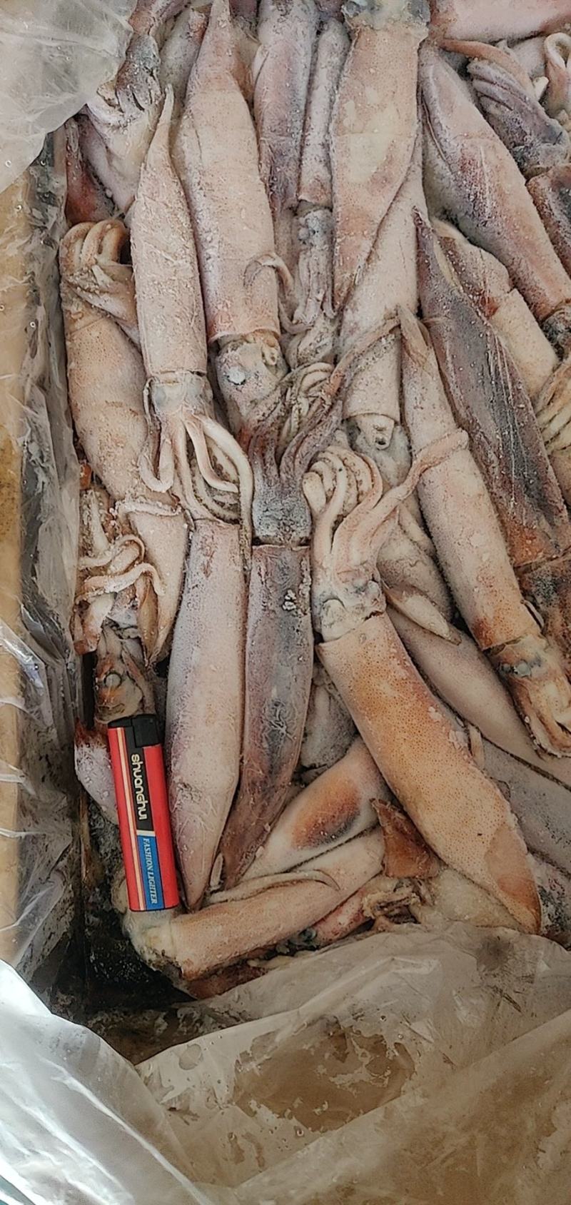 鱿鱼北部湾一口管团购，电商平台鱿鱼家庭装