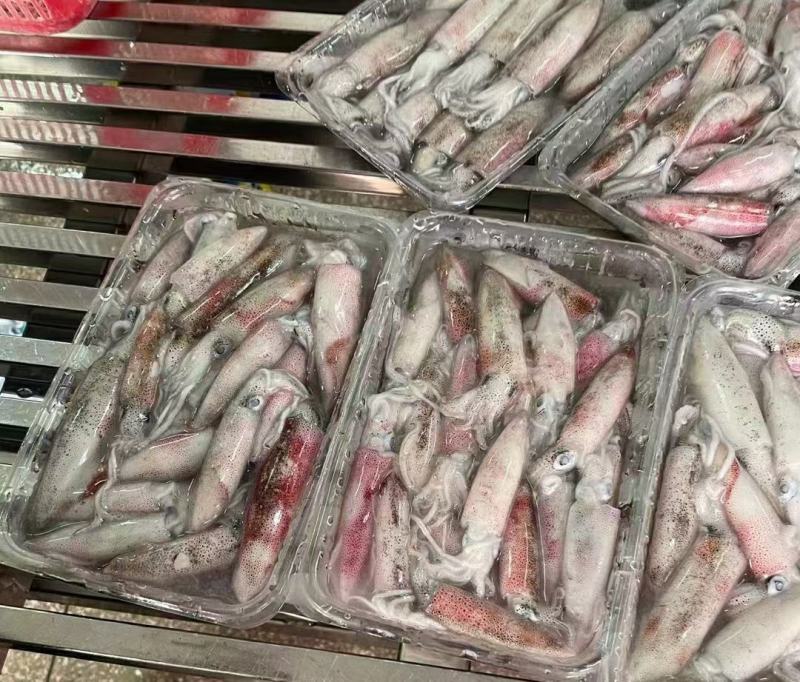 鱿鱼北部湾一口管团购，电商平台鱿鱼家庭装