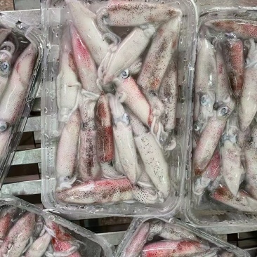 鱿鱼北部湾一口管团购，电商平台鱿鱼家庭装