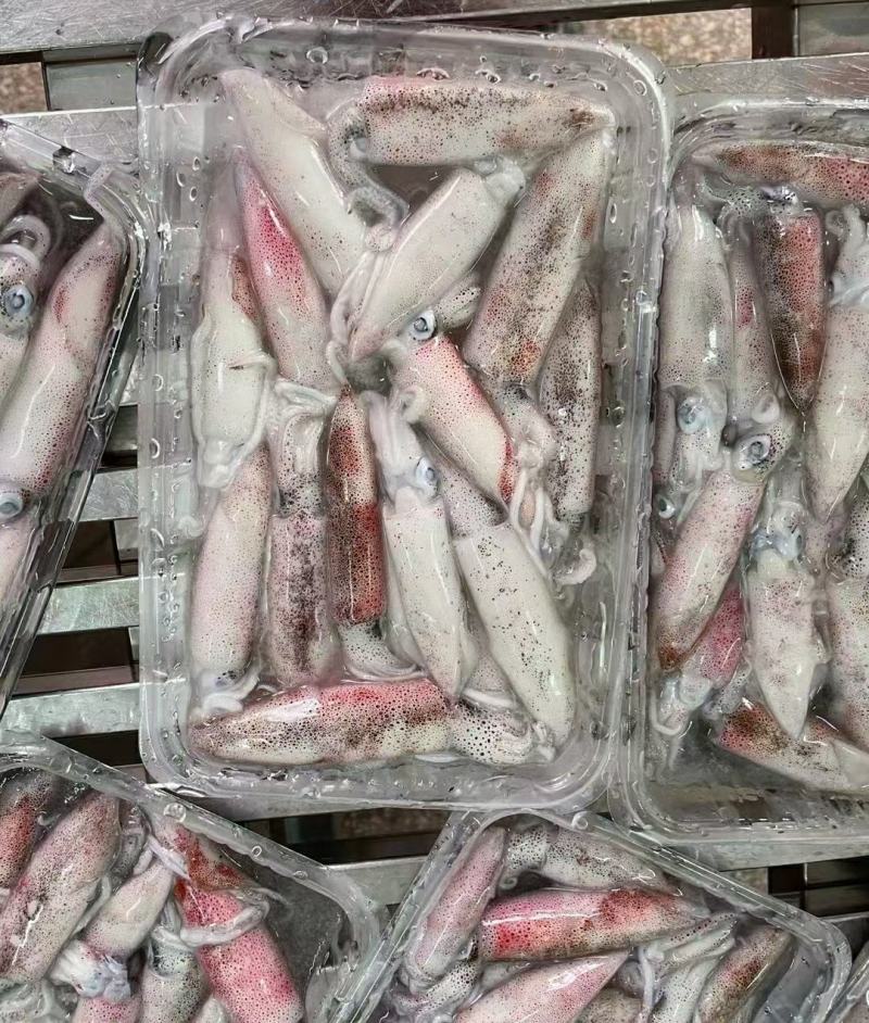 鱿鱼北部湾一口管团购，电商平台鱿鱼家庭装