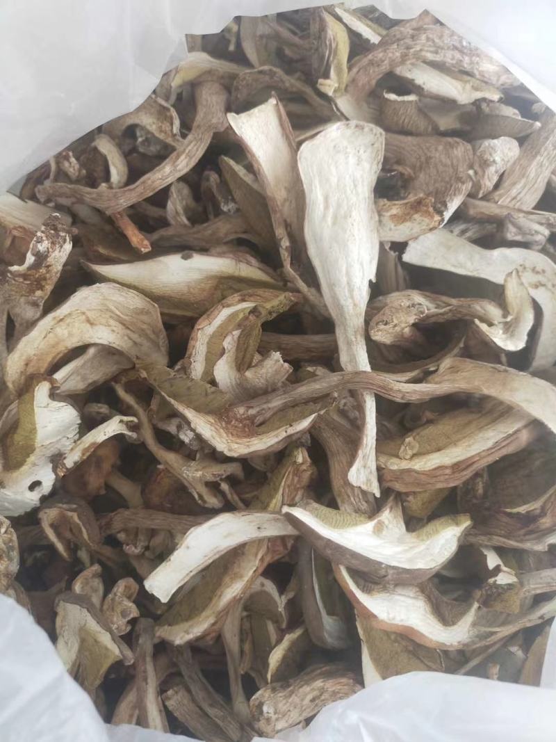 野生菌