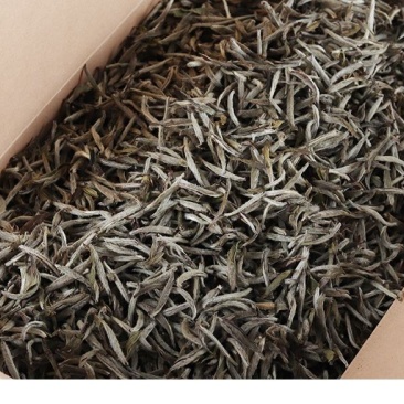 福鼎白茶2016年白毫银针六年陈散茶500克