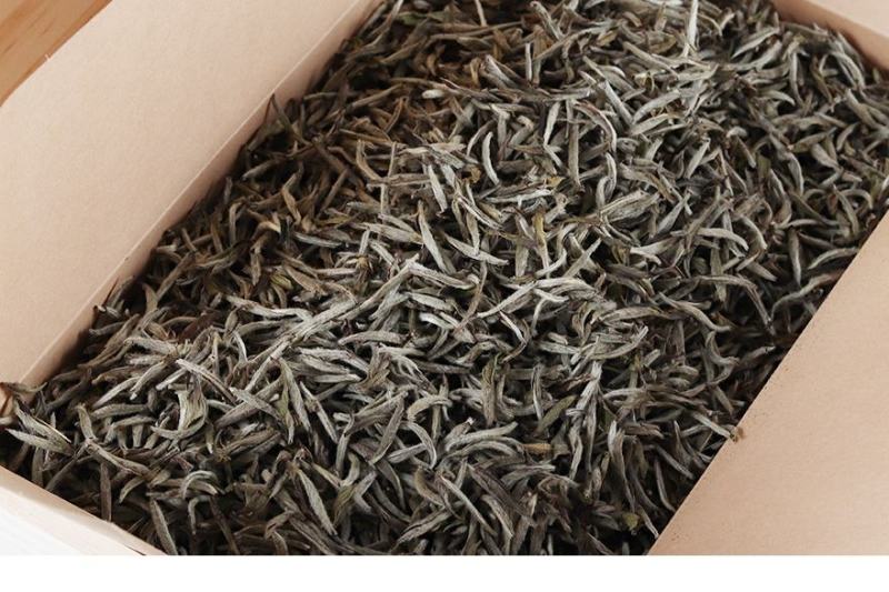 福鼎白茶2016年白毫银针六年陈散茶500克