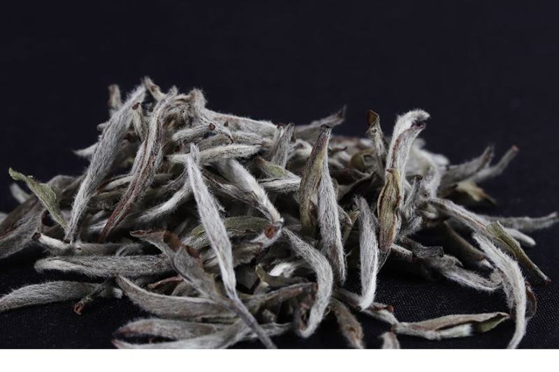 福鼎白茶2016年白毫银针六年陈散茶500克