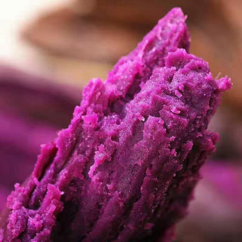 山东紫薯大量现货一件代发大货批发3斤5斤10斤红薯