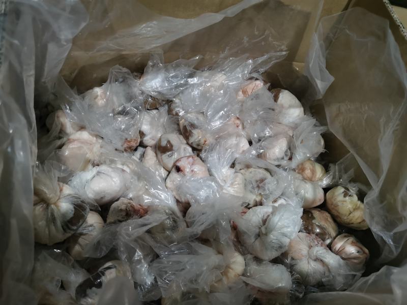 原油羊腰子原油羊内腰一斤称4.5个标准个头量大优惠