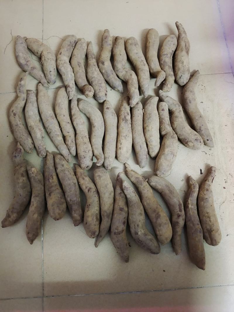山东紫薯大量现货一件代发大货批发3斤5斤10斤红薯