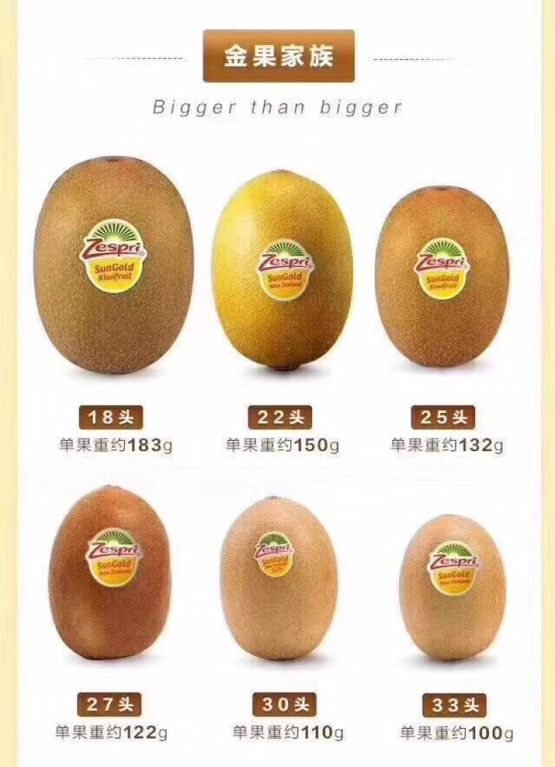 新西兰金奇异果，口感细腻香甜美味，营养丰富