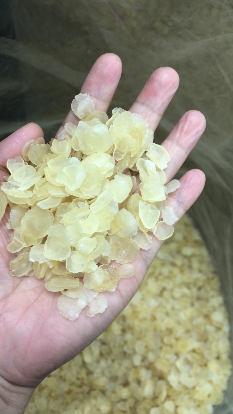 皂角米雪莲子现货批发规格齐全量大优惠