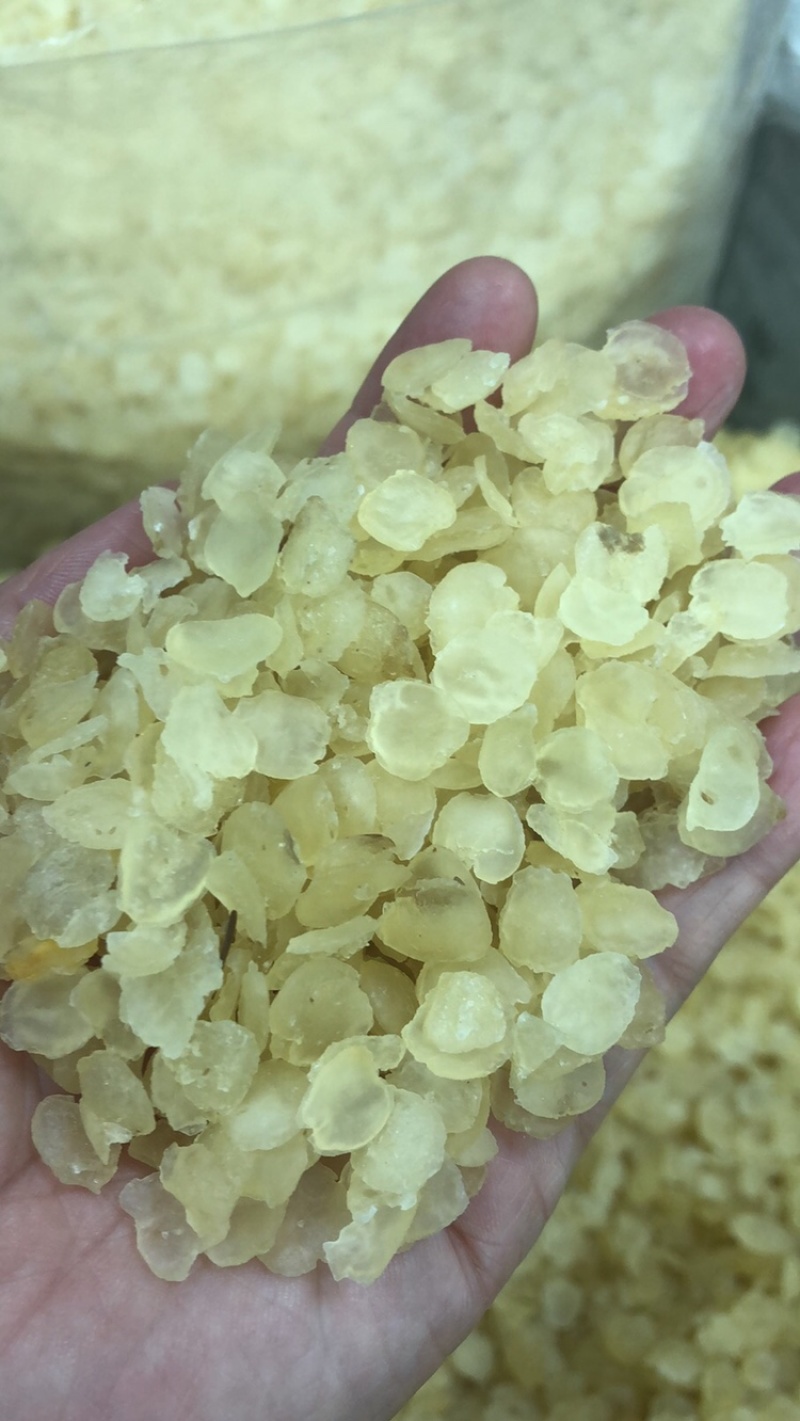 皂角米雪莲子现货批发规格齐全量大优惠