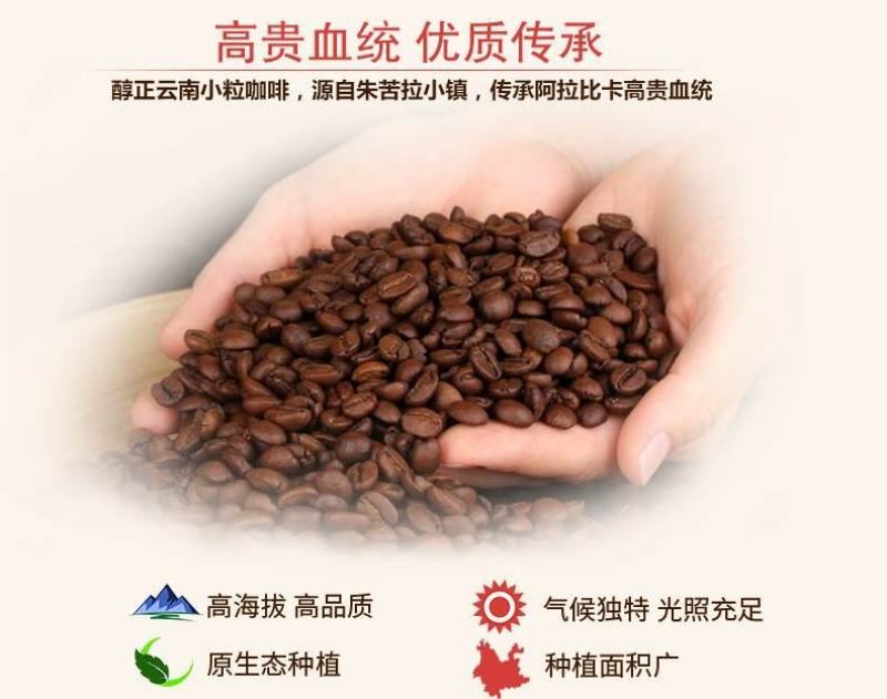 咖啡烘焙豆意大利风味中深烘焙后谷咖啡454g