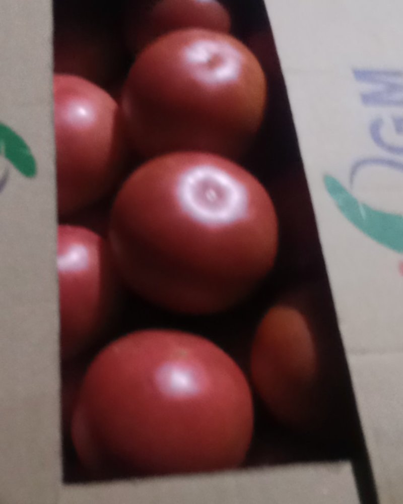 硬粉软粉西红柿大量有货价格美丽