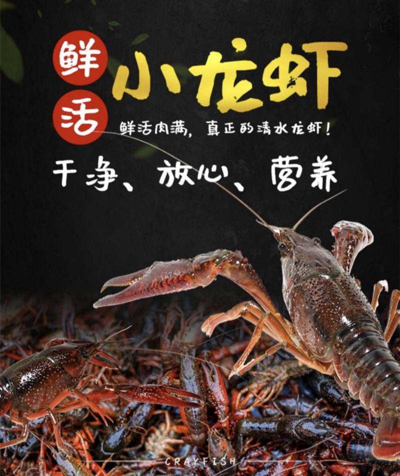 湖北潜江淡水小龙虾，肉质饱满、物流直达，酒店餐饮专用！