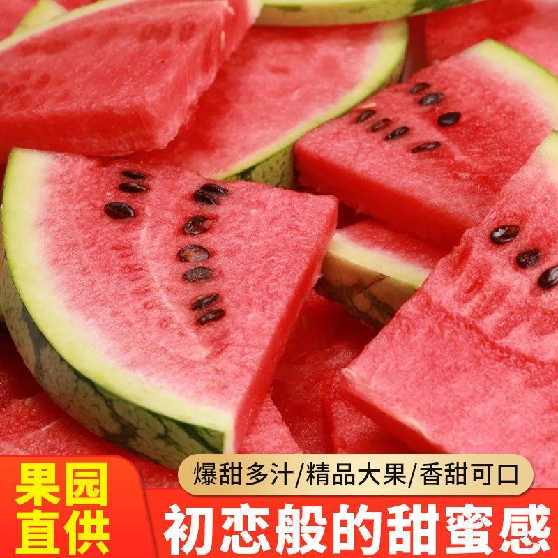 早春红玉