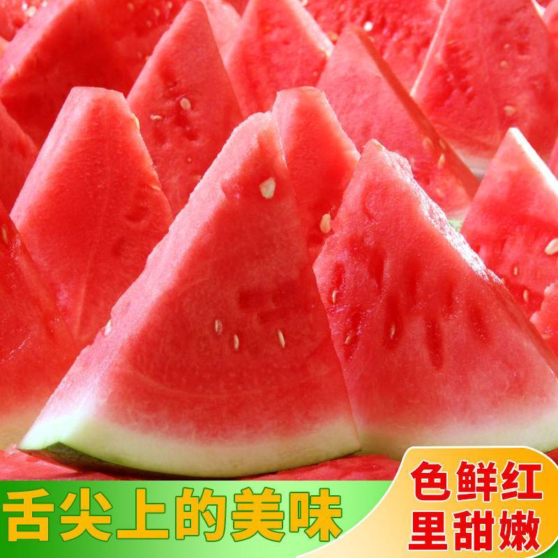 早春红玉