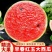 早春红玉
