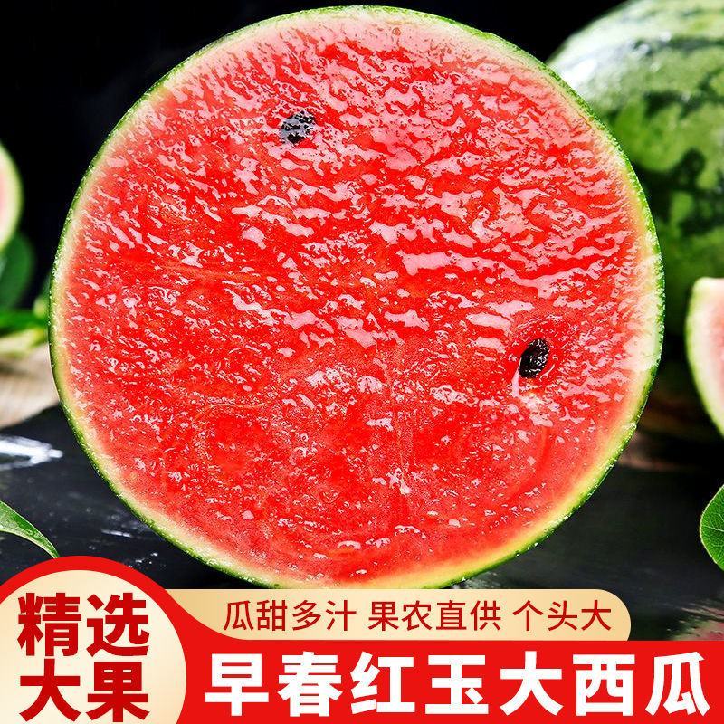 早春红玉