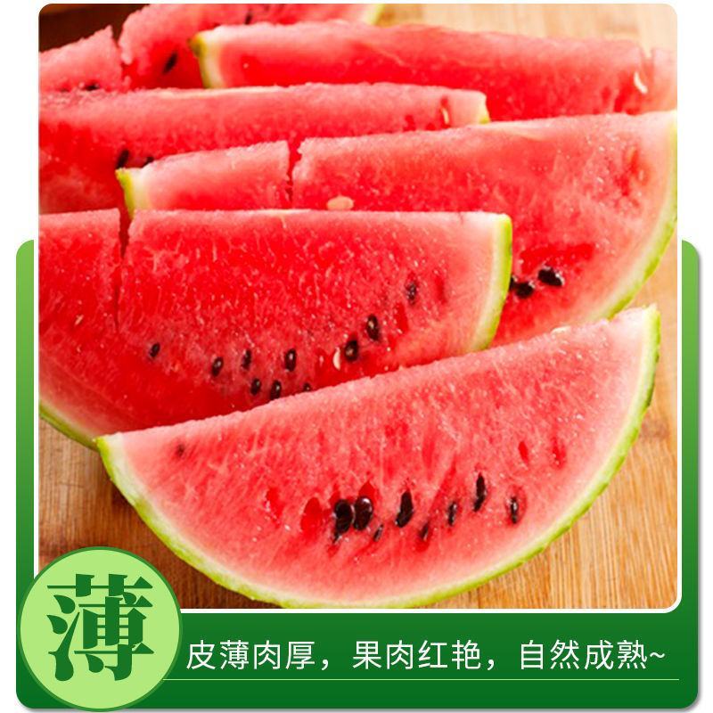 早春红玉