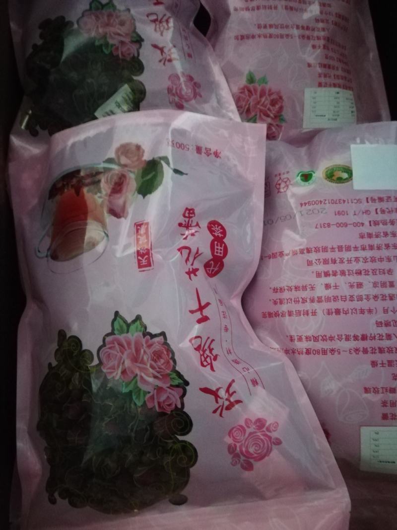 平阴玫瑰花蕾玫瑰原产地基地直供