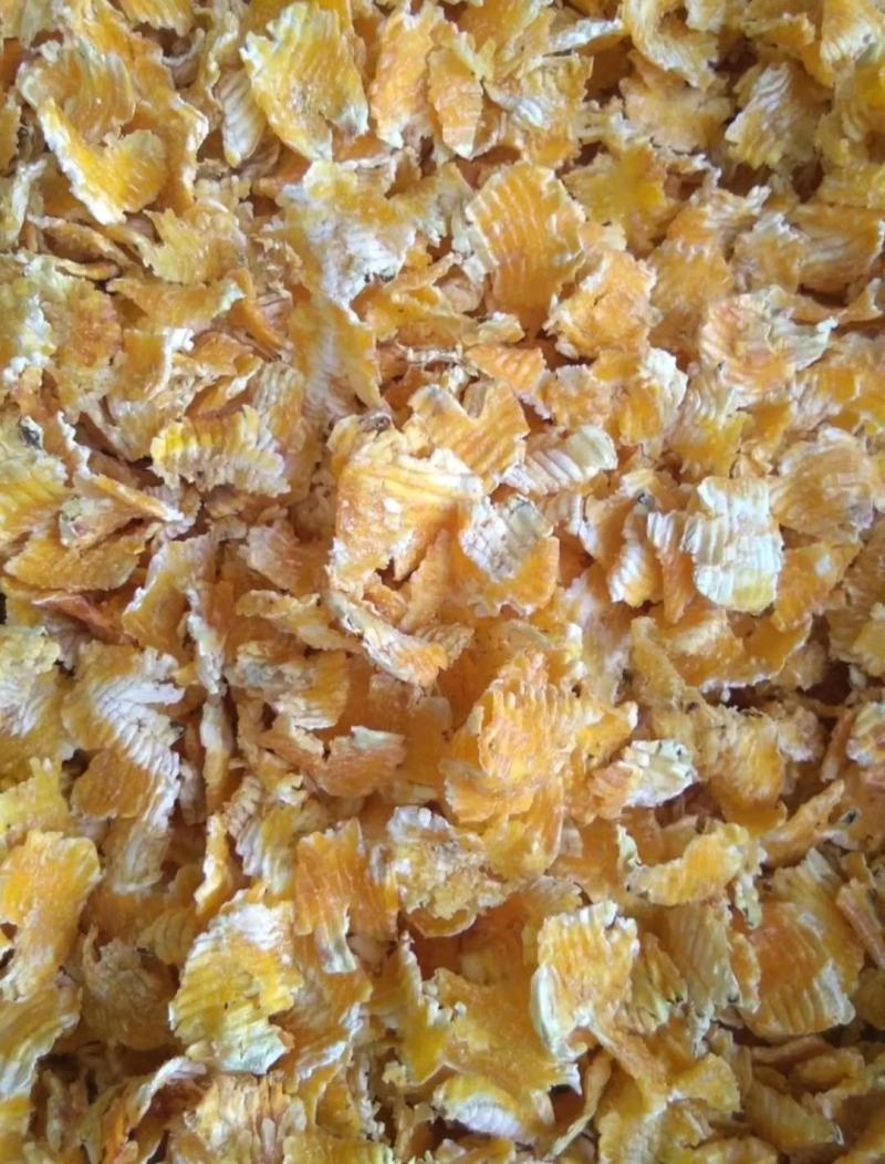 蒸汽玉米压片，厂家现货，质量保证