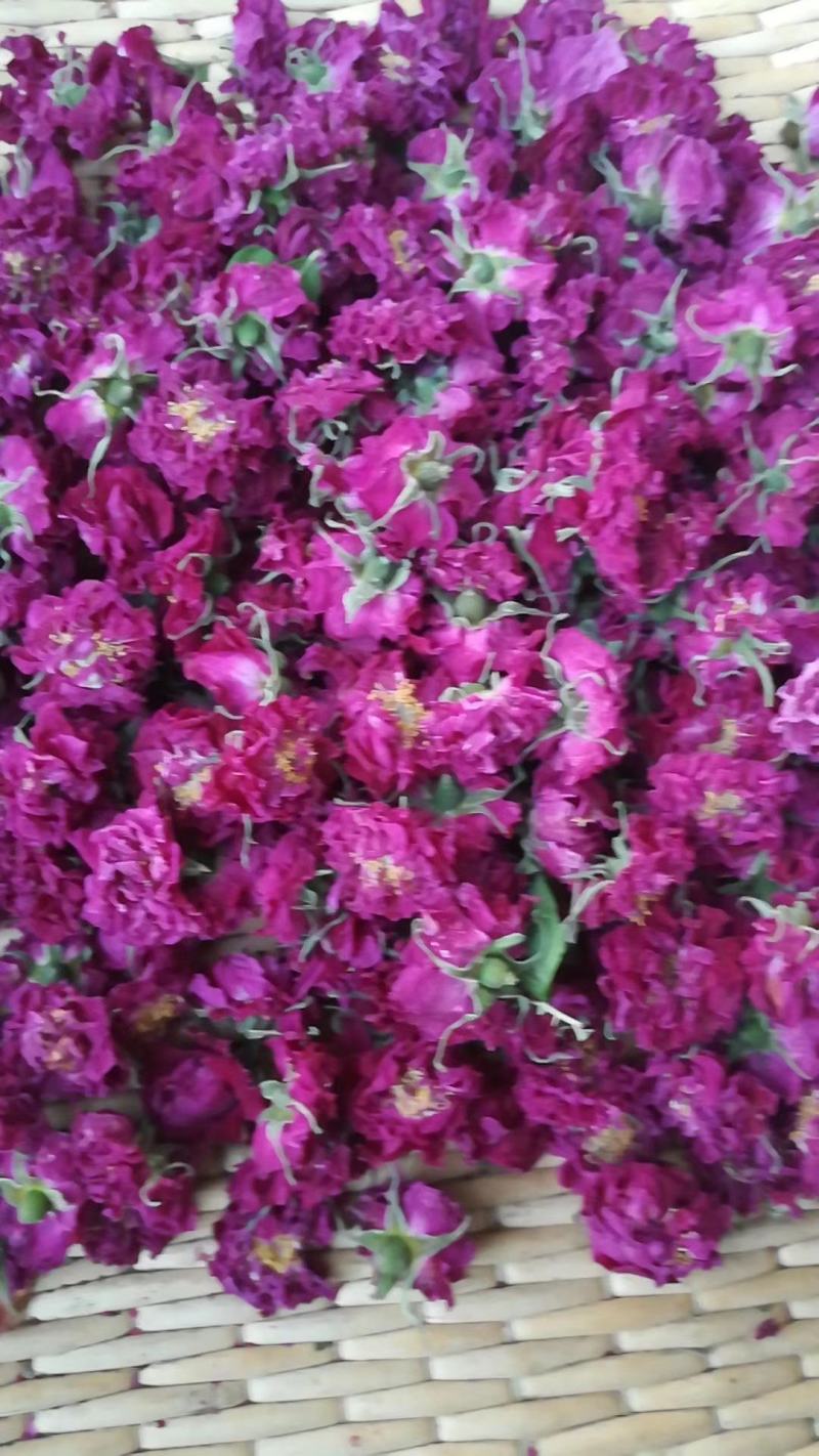 玫瑰花冠茶平阴玫瑰原产地基地直供