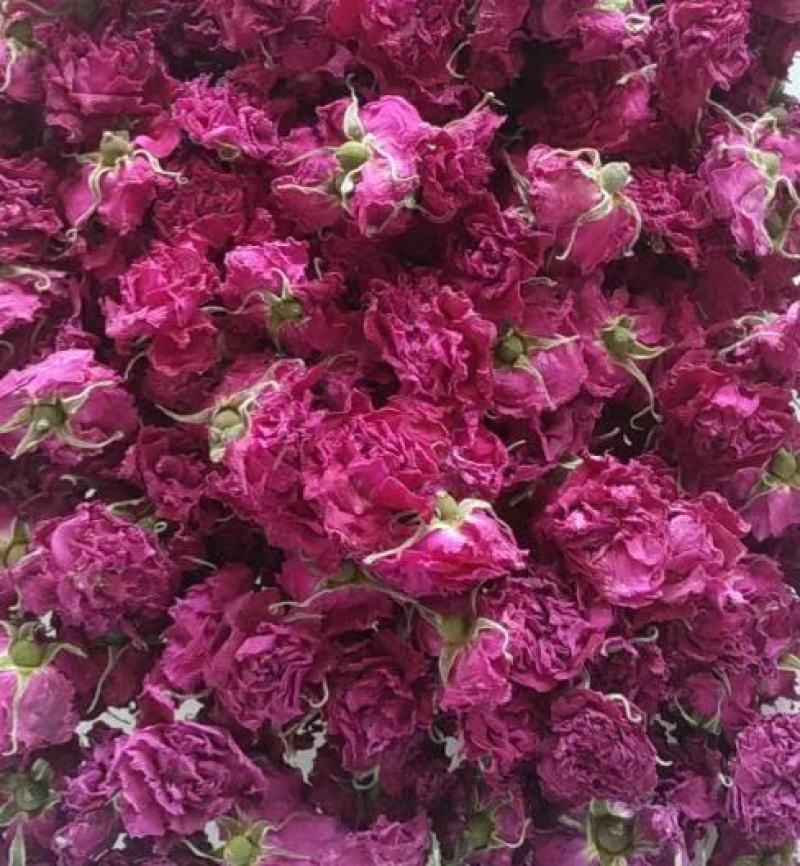 玫瑰花冠茶平阴玫瑰原产地基地直供