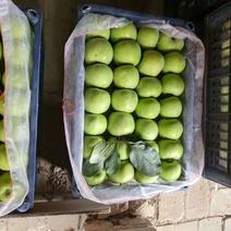 苹果，青苹果，果面干净亮，大量现货上市中，货好价格低