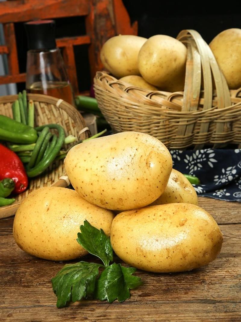 黄心土豆中暑五号产地一手货源，保质保量，欢迎咨询订购